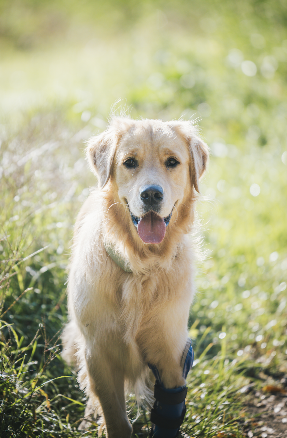 Capture d’écran 2025-10-15 à 11.09.02