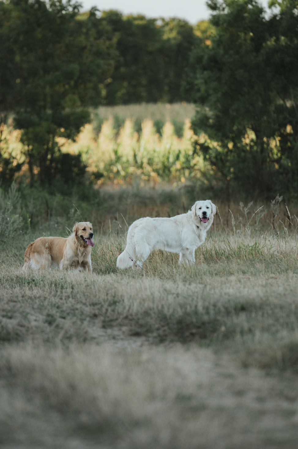 Capture d’écran 2025-10-15 à 11.12.30