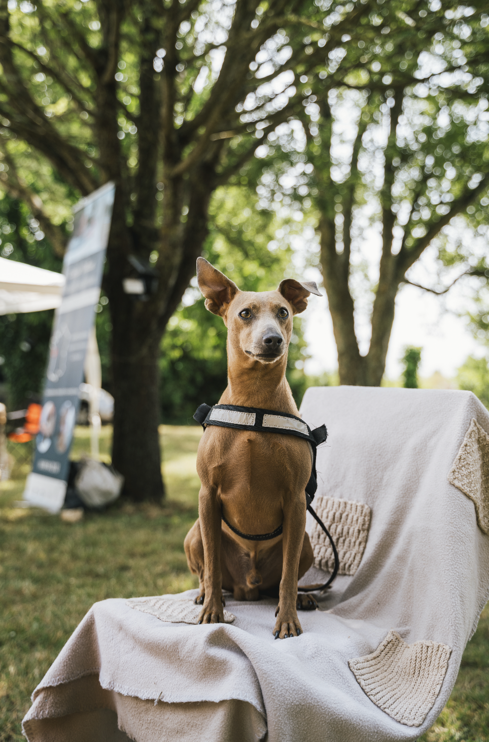 Capture d’écran 2025-10-15 à 11.13.00