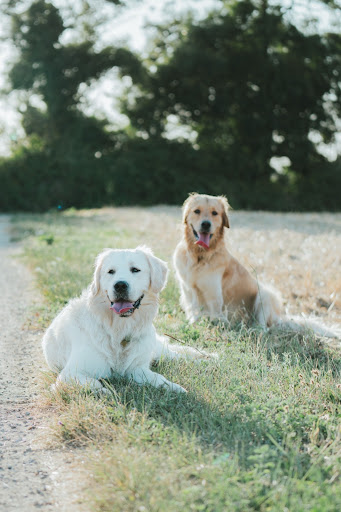 Photo from customer review