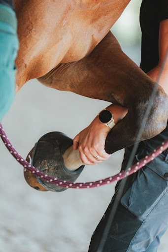 Photo from customer review