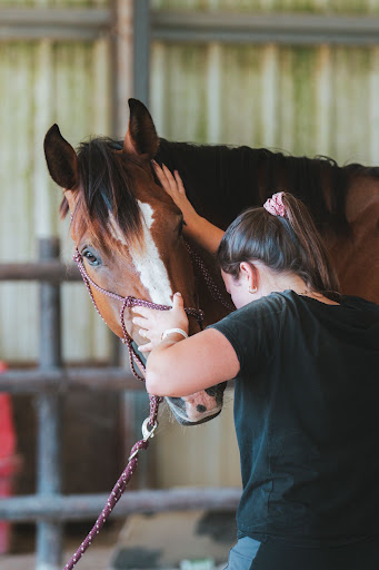 Photo from customer review