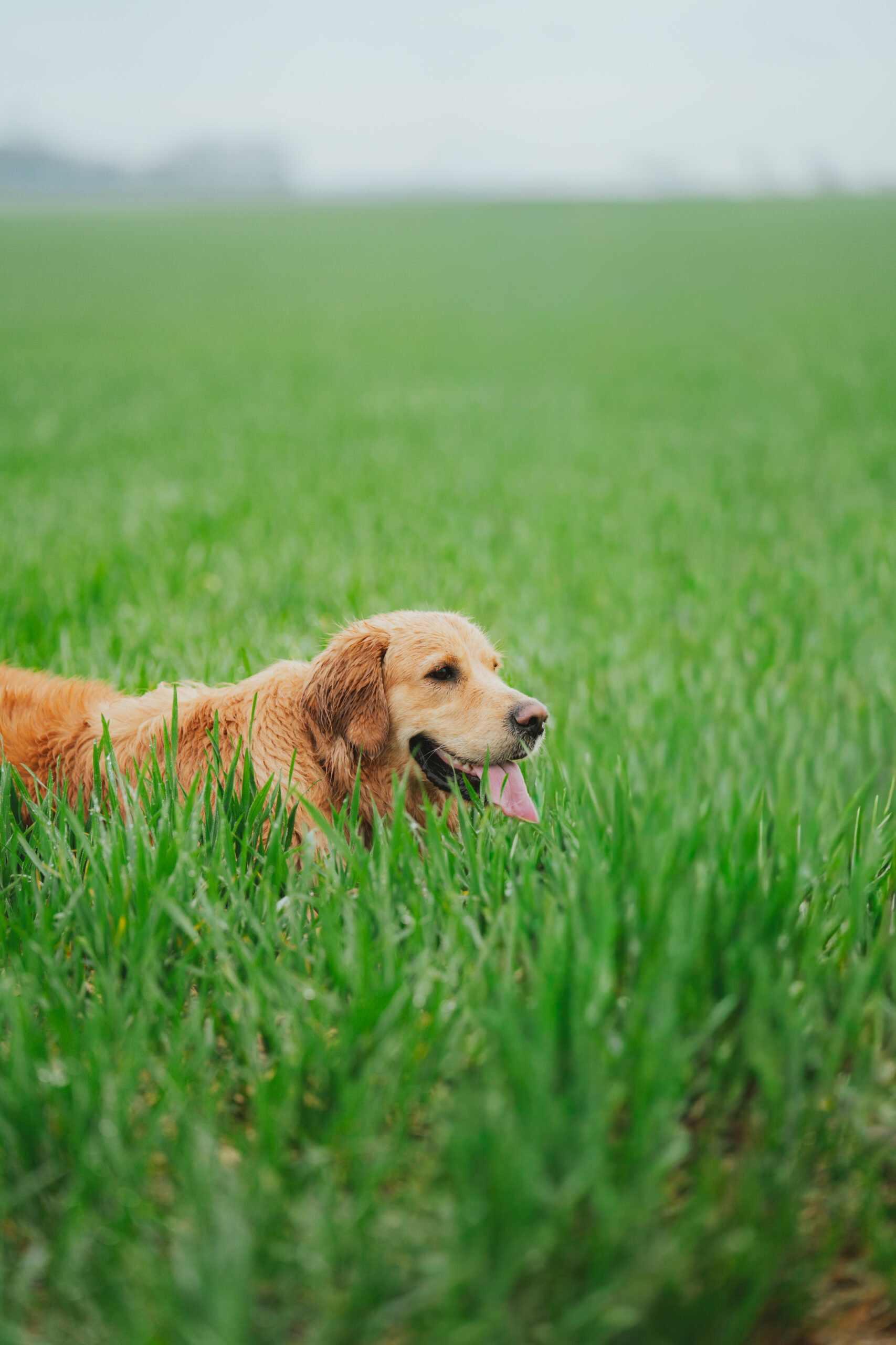 StRo@carolinejollin-10