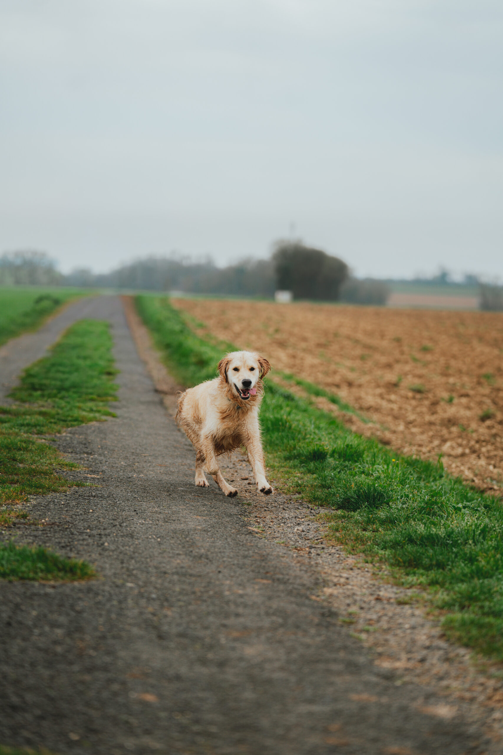 StRo@carolinejollin-42