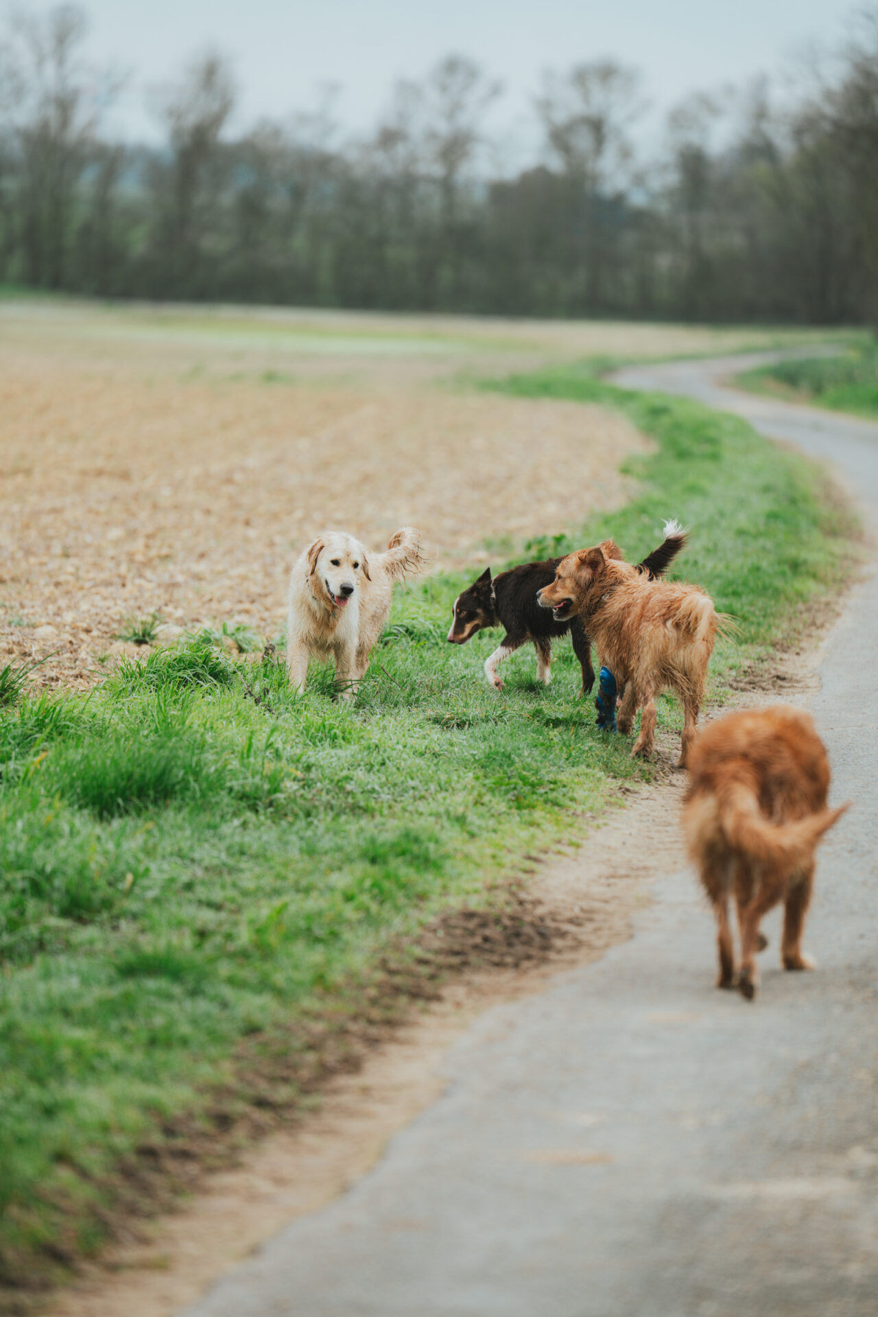 StRo@carolinejollin-61